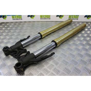 Triumph Tiger 800 Forks Fork Legs Straight 2010 to 2014 B174