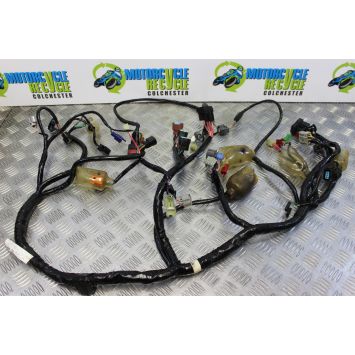 Honda VFR 800 VTEC Wiring Harness Main Loom ABS 2002 to 2009 VFR800 B104