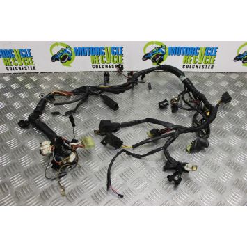 Triumph Adventurer 900 Wiring Harness Loom Main 1996 to 2001 B100