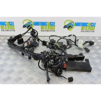 Triumph Street Triple 675 ABS Wiring Harness Main Loom 2014 2013 to 2016 B049
