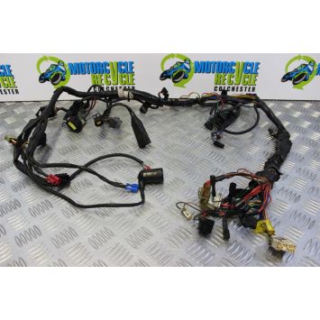 Triumph Thunderbird Sport 900 Wiring Harness Loom Main 1997 to 2004 B101