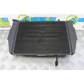 Ducati Multistrada 1200 Radiator with Evotech Guard 2010 to 2012 MTS B171