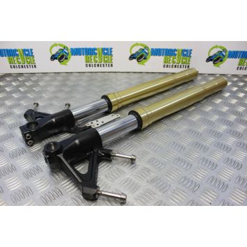 Triumph Speed Triple 1050 Fork Legs Forks Straight 2005 to 2007 B194