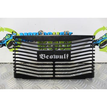 Suzuki GSF 650 Bandit Oil Cooler Guard Beowulf Grill 2005 2006 GSF650 B066
