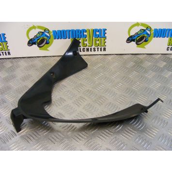 Honda CBR 900 RR Fireblade Panel Front V-Piece CBR900 929 2000 2001 B084