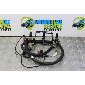 Triumph Speed Triple 955 Fuel Injector Rail 2002 to 2004 955i B054