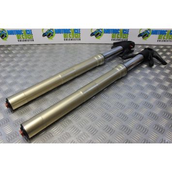 Ducati Multistrada 1200 Forks Fork Legs Straight 2010 to 2012 MTS B171