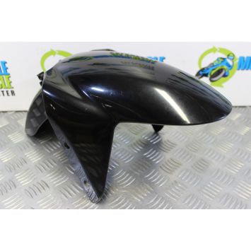 Triumph Speed Triple 955 Mudguard Front 2002 to 2004 955i B054