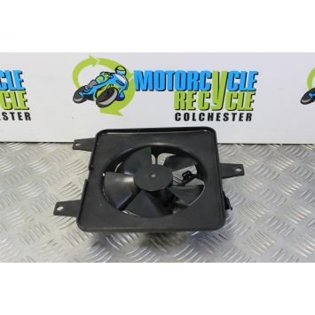 Triumph Speed Triple 955 Fan 2002 to 2004 955i B054
