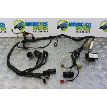 Honda XRV 750 Africa Twin Wiring Harness Loom Main 1996 to 2003 RD07A B074