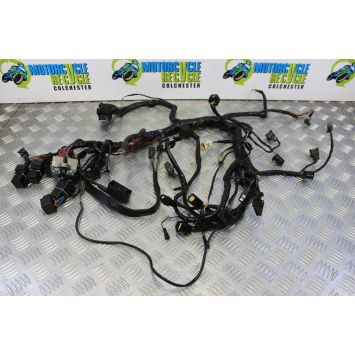 Triumph Speed Triple 955 Wiring Harness Main Loom 2002 to 2004 955i B054