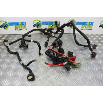 Yamaha FZ8 Fazer Wiring Harness Main Loom 2010 to 2015 FZ8S FZ8N B051