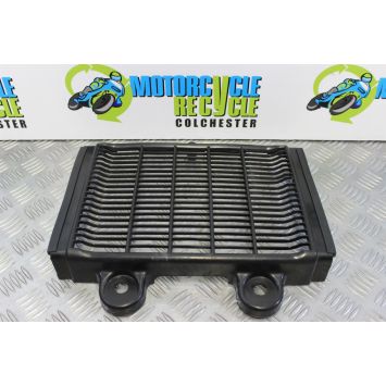 Triumph Thunderbird Sport 900 Radiator Guard Grill 1997 to 2004 B101