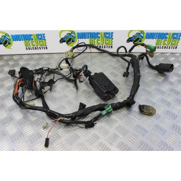 Suzuki SV 650 S Wiring Loom Main Harness 1999 to 2002 SV650S SV650 B183
