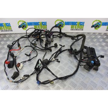 Triumph 675 Daytona Wiring Harness Main Loom 2006 2007 2008 B188