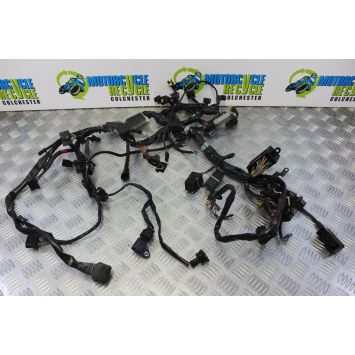 Triumph Speed Triple 1050 Wiring Harness Main Loom 2005 to 2007 B194