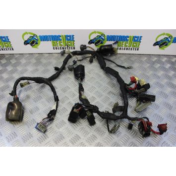 Honda CBR 900 RR Wiring Main Harness Fireblade 954 2002 2003 CBR900 B191