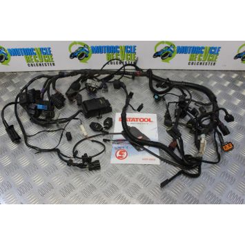 Triumph Tiger 800 Wiring Harness Loom 2010 to 2014 B174