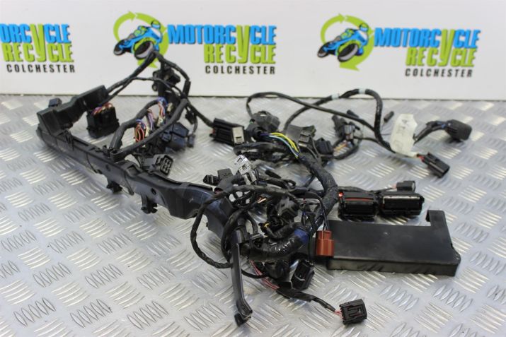 Triumph Street Triple 675 ABS Wiring Harness Main Loom 2014 2013 to 2016 B049