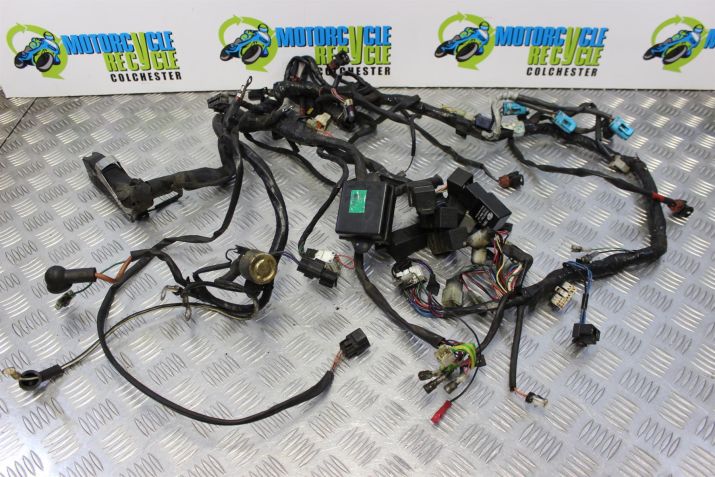 Triumph T595 Daytona Wiring Harness Main Loom 1997 1998 T 595 B175