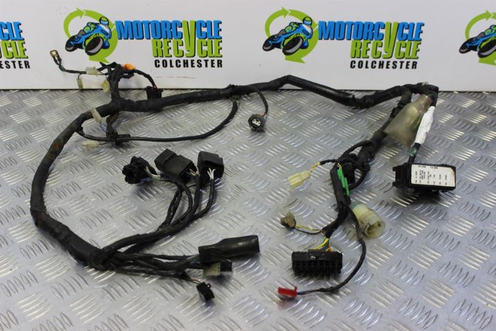 Honda XRV 750 Africa Twin Wiring Harness Loom Main 1996 to 2003 RD07A B074