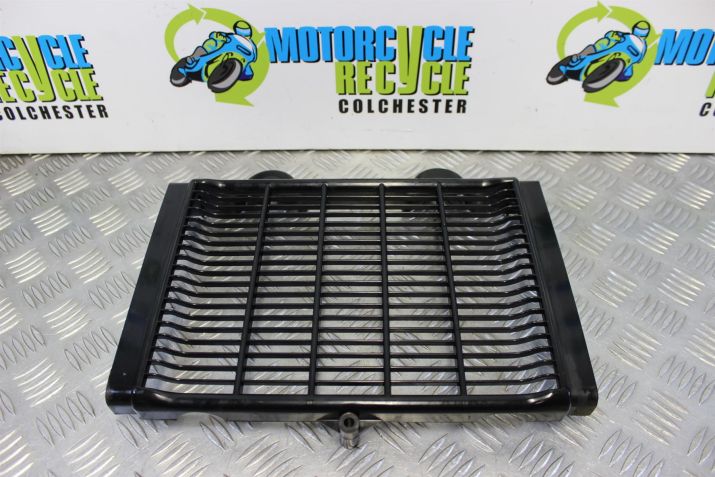 Triumph Legend TT Radiator Guard Grill 1998 to 2001 900 B052
