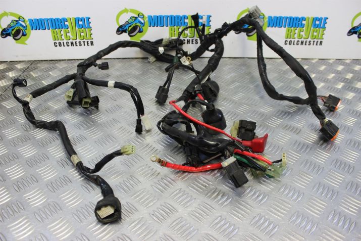 Yamaha FZ8 Fazer Wiring Harness Main Loom 2010 to 2015 FZ8S FZ8N B051