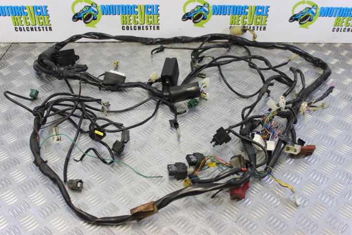 Aprilia RSV 1000 Mille Wiring Harness Main Loom 2001 2002 RSV1000 B047