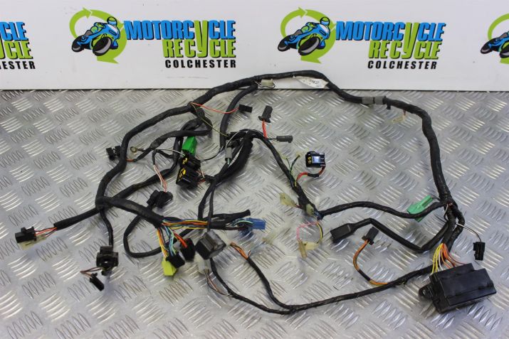 Suzuki RF 900 Wiring Harness Loom RF900R RF900 1994 to 1999 B060