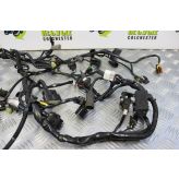 Ducati Multistrada 1200 Wiring Harness Main Loom 2010 to 2012 MTS B076