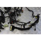 Ducati Monster 1100 Evo Wiring Harness Loom Main 2012 2013 M1100 B082