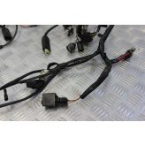 Triumph Legend TT Wiring Harness Loom Main 1998 to 2001 900 B052