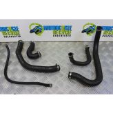 Honda CBR 900 RR Coolant Bottle Hoses Fireblade RRW 1998 1999 CBR900 B053