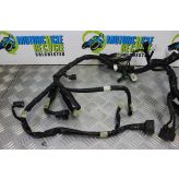 Yamaha FZ8 Fazer Wiring Harness Main Loom 2010 to 2015 FZ8S FZ8N B051