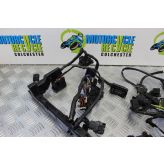 Triumph Street Triple 675 ABS Wiring Harness Main Loom 2014 2013 to 2016 B049