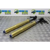Triumph Speed Triple 1050 Fork Legs Forks Straight 2005 to 2007 B056