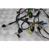 Suzuki RF 900 Wiring Harness Loom RF900R RF900 1994 to 1999 B060