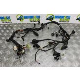 Triumph Adventurer 900 Wiring Harness Loom Main 1996 to 2001 B100