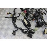 Ducati Monster 1100 Evo Wiring Harness Loom Main 2012 2013 M1100 B082