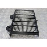 Triumph Legend TT Radiator Guard Grill 1998 to 2001 900 B052