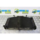 Yamaha FZ8 Fazer Radiator With Grill Guard 2010 to 2015 FZ8S FZ8N B051
