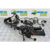 Triumph Street Triple 675 ABS Wiring Harness Main Loom 2014 2013 to 2016 B049