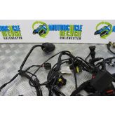 Ducati Hypermotard 796 Wiring Harness Loom Main 2010 2011 2012 B085