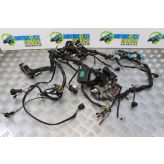 Triumph T595 Daytona Wiring Harness Main Loom 1997 1998 T 595 B175