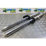 Triumph Thunderbird Sport 900 Forks Fork Legs Straight 1997 to 2004 B101