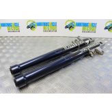 BMW R 1150 GS Fork Leg Lowers Left Right Forks R1150GS 1999 to 2001 B055
