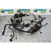Triumph Speed Triple 1050 Wiring Harness Main Loom 2005 to 2007 B056