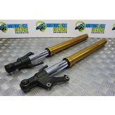 Yamaha FZ8 Fazer Forks Fork Legs Straight 2010 to 2015 FZ8S FZ8N B051