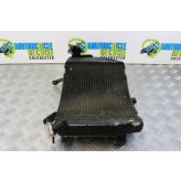 Yamaha R1 5VY Radiator with Cap YZF-R1 2004 to 2006 YZF 1000 B097