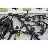 Ducati Multistrada 1200 Wiring Harness Main Loom 2010 to 2012 MTS B076